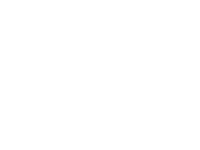SAIV A/S