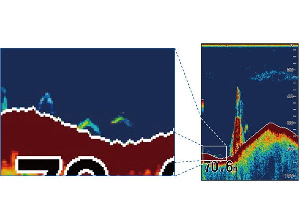 COLOR LCD SOUNDER Model FCV-295