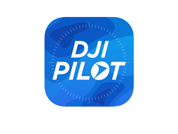 DJI Pilot 2